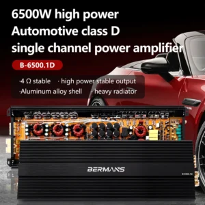 6500W Mono Class D Amplifier